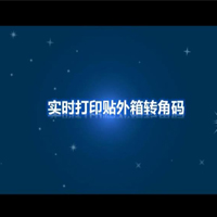 自动贴标机实时打印贴外箱转角码视频