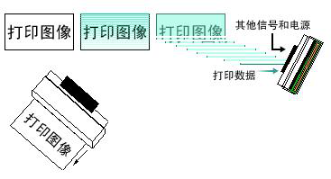 打印标签